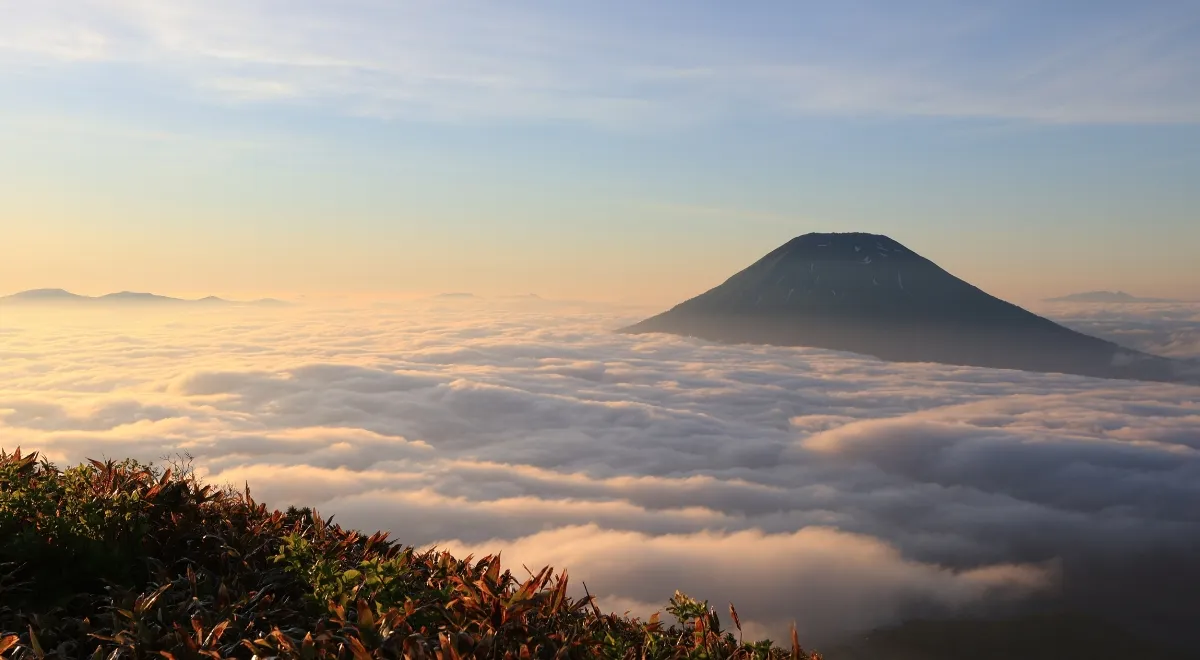 羊蹄山の山頂と雲海