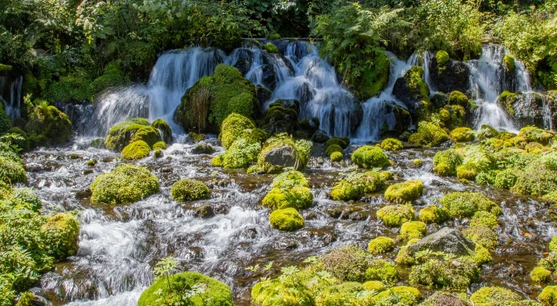 苔に覆われた大小の岩の間を白い水が幾筋にも流れ落ちる小さな滝。