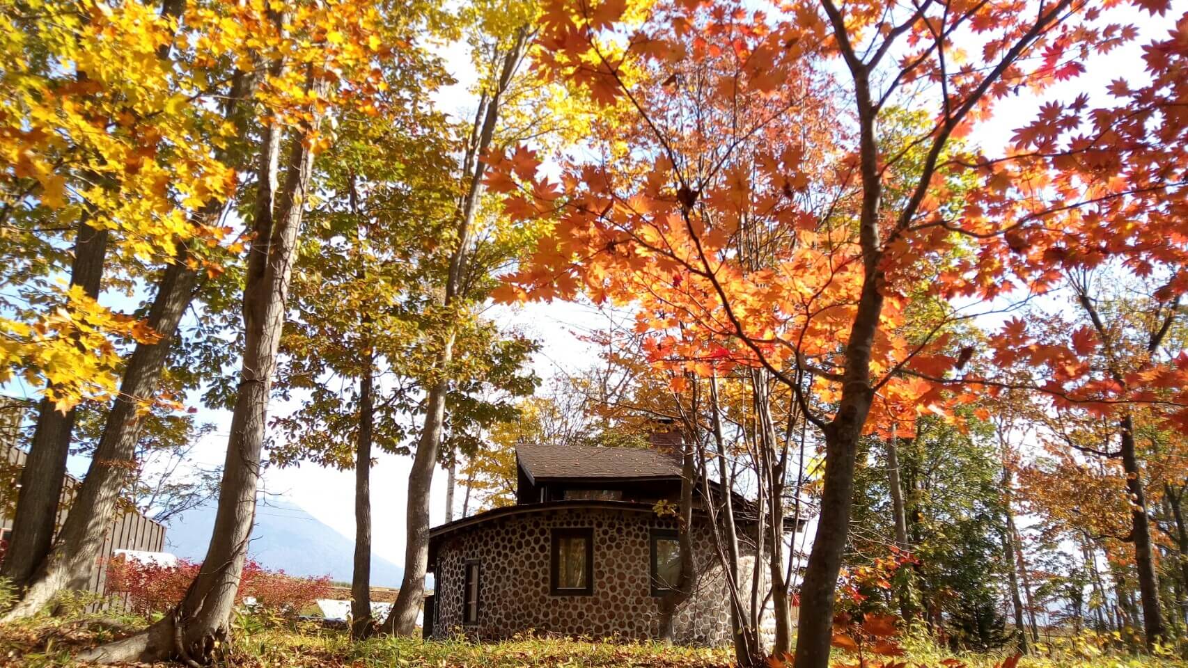 Tree Shell Niseko宿泊券